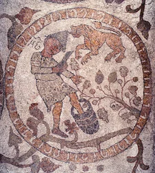 Augusti: en bonde som bär en frygisk mössa plockar druvorna och krossar dem i en hink. Lejonets tecken är representativt. Mosaik av Pantaleone, präst och mosaik. 1163-1166. Centralskepp i katedralen i Otranto (Otranto), Italien