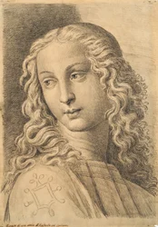 Head of a woman, från 42 Studies of Heads after Raphael