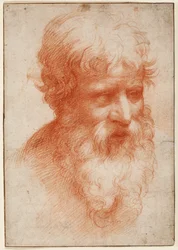 Huvud av en skäggig man, tittar åt höger, ca 1523-25 (röd krita på papper)