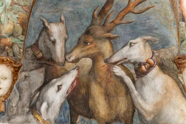 Actaeon, förvandlad till en hjort, äts av sina egna hundar, från Room of Diana and Actaeon, Northern Wall, detalj 2384753