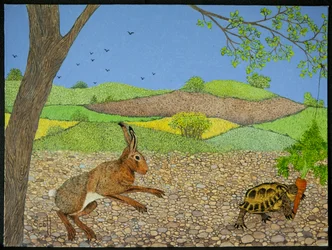 Sköldpadda och hare