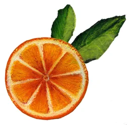Fruit, 2021 (Akryl på papper)