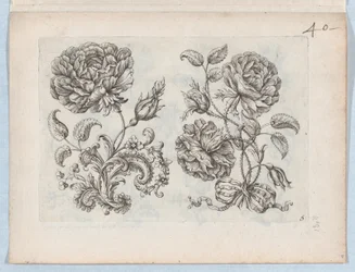 Serie av små blomstermotiv, tavla 5, ca. 1670-85., ca. 1670-85.