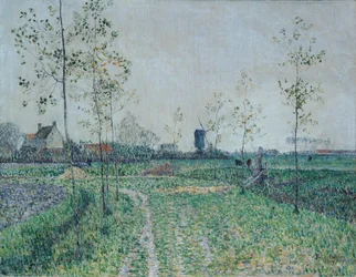 Höstlandskap nära Knokke, Belgien