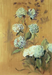 Hortensior (pastell på papper)