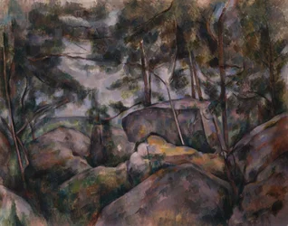 Stenar i skogen