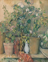 Terrakottakrukor och blommor