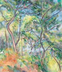Glades, ca 1894