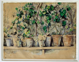 Blomkrukorna Paul Cezanne