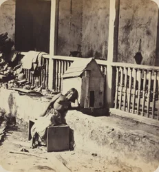 Garvel hund (Martinique),1870-talet (foto)