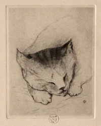 Sex etsningar: Head of a Kitten, 1895.