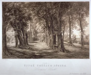 The Upper Terrace Avenue, Hampstead Heath, London, c1840