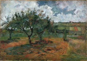 Blommande äppelträd