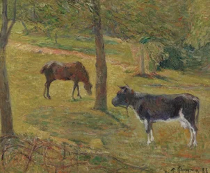 Franska: Vache et cheval dans un pré Ko och häst på en äng