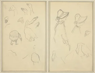 Gäss; Girls in Bonnets, Geese [recto]