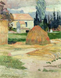 Landskap nära Arles