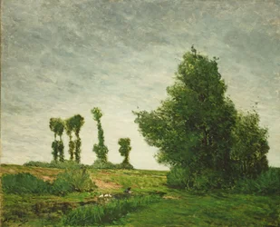 Landskap med poppel
