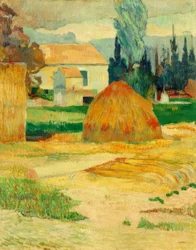 Mas d