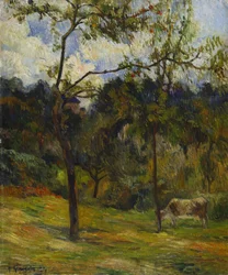 Normandielandskap: Cow in a Meadow, 1884