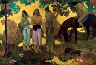 Rupe Rupe, fruktskörd, 1899