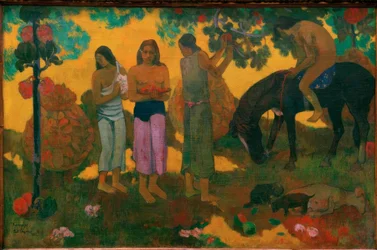 Ruperupe