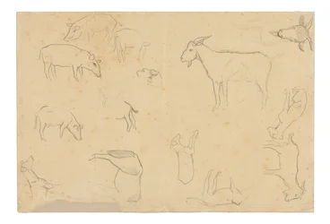 Skisser av olika djur och huvud (recto), Skisser av ett huvud, figur i profil, anatomiska detaljer och djur (verso)