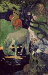 Den vita hästen, 1898