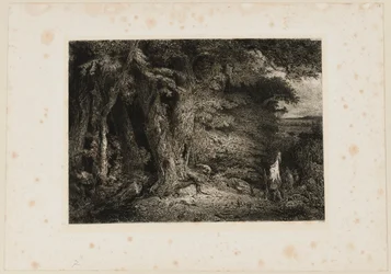 Ingången till skogen. Beraldi 74