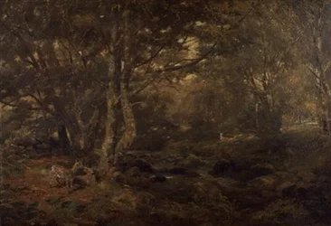 Genom skogen, Pont-y-Gytyn, norra Wales