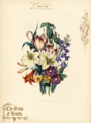 Bukett liljor, tulpan, fuchsia, tigerlilja.
