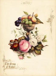Bukett rosor med druvor och persikor i vas.