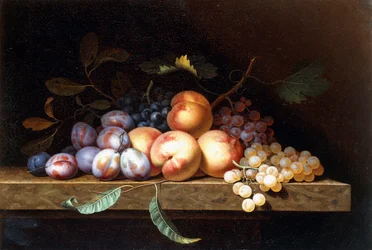 Persikor, plommon och vindruvor på en stenkant,