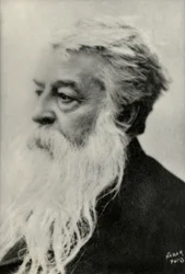 Porträtt av Ernest Messonnier (foto)