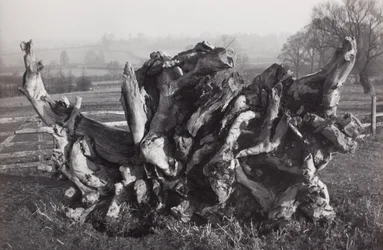 "Laocoon", Carswall