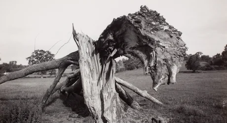 "Monster Field", Carswall