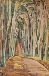 Savernake Forest, 1935