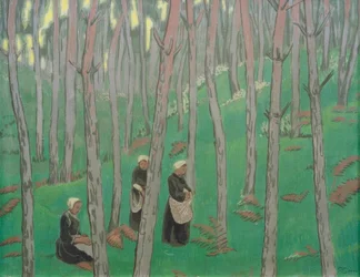 Svampsamlare i skogen