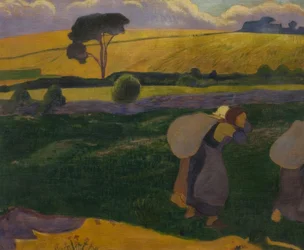 Tvättkvinnor i Bellangenet
