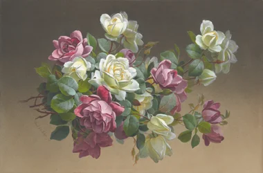 Blommor: Rosor, sent 1800-tidigt 1900-tal.