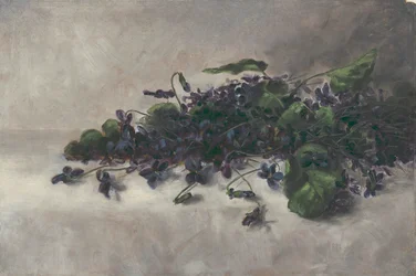 Violer, ca. 1890.