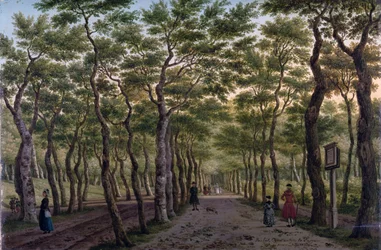 Herepaden i Haagse Bos