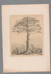 Kankantri Boom