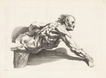 Anatomisk studie av lutande människa Ritboken av Peter Paul Rubens (serietitel)