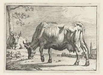Betande ko The Bull Book (serietitel)