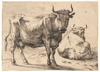 Stående och liggande ko