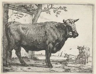 Oxen The Bull Book (serietitel)