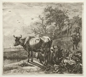 Koherden