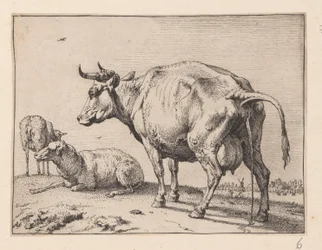 Den pissande kon, från Olika oxar och kor