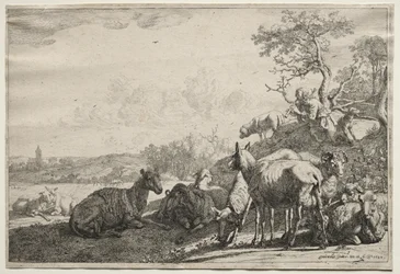 Herden, 1644.