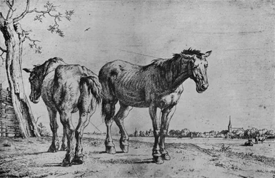 De två ploghästarna, 1652